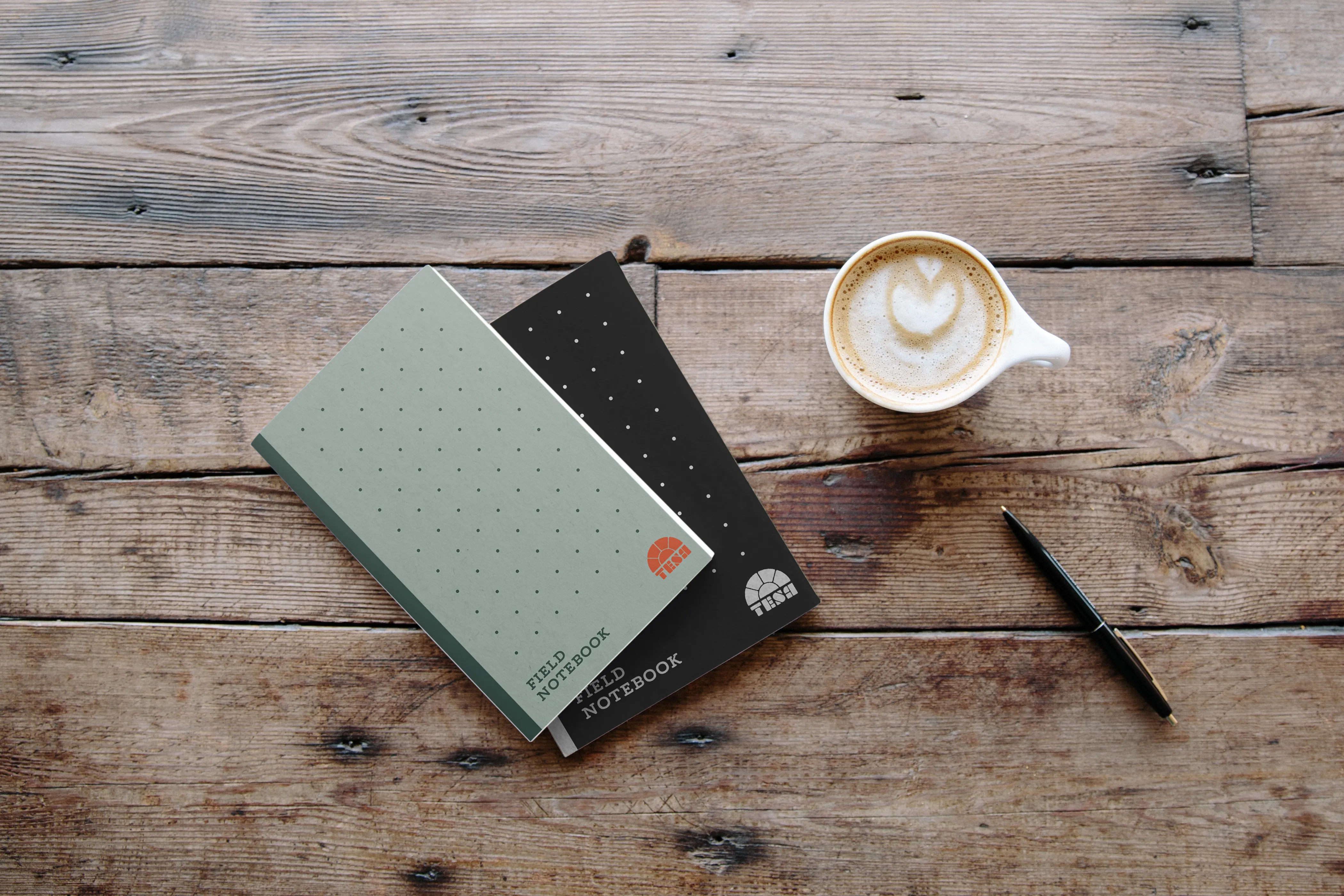 Field Notebooks